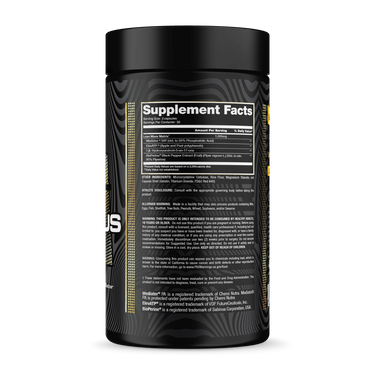 Notorious | Alchemy Labs